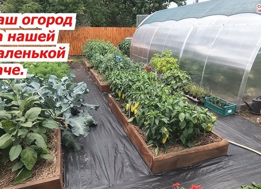 И в саду, и в огороде - 26.02.2024 Биопрепараты для защиты растений