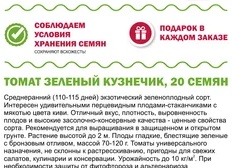 Правила и способы выращивания экзотического салата Рапунцель