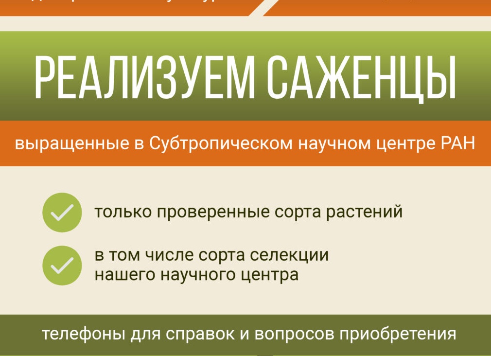 Где и как приобретать посадочный материал комнатных растений?