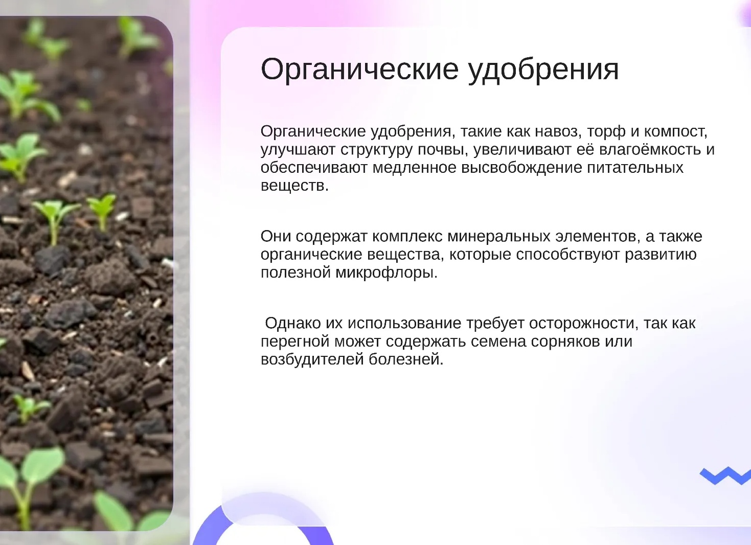 Как получить бесплатное удобрение для почвы, конечно сеять сидераты