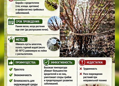 ПРЕПАРАТЫ - АНАЛОГИ ОТ ЗАБОЛЕВАНИЙ и ВРЕДИТЕЛЕЙ.