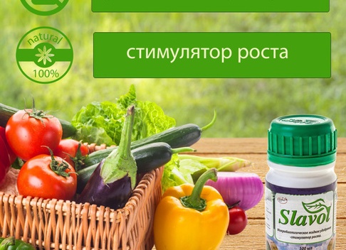 Как инновационное микробиологическое удобрение 