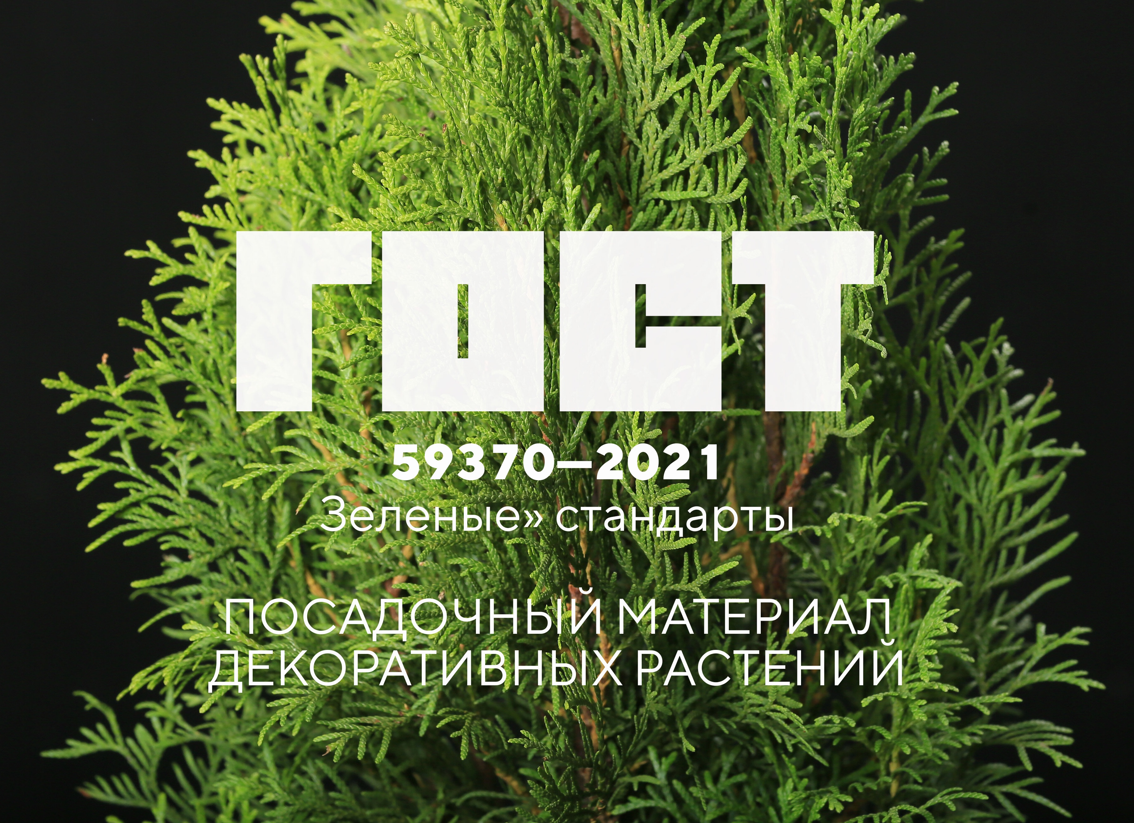ГОСТ Р 59370-2021 