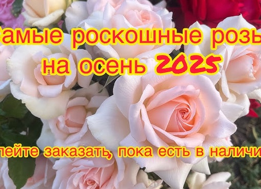 В наличии! Успей заказать