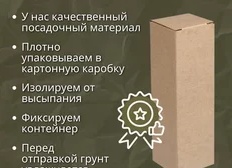 Посадочный материал – что мы отправляем в посылке?