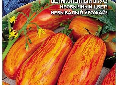 Томат Новый Кенигсберг полосатый: полосатый гигант с сибирским характером