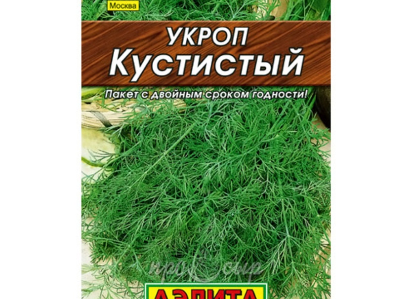 СЕМЕНА - где купить?