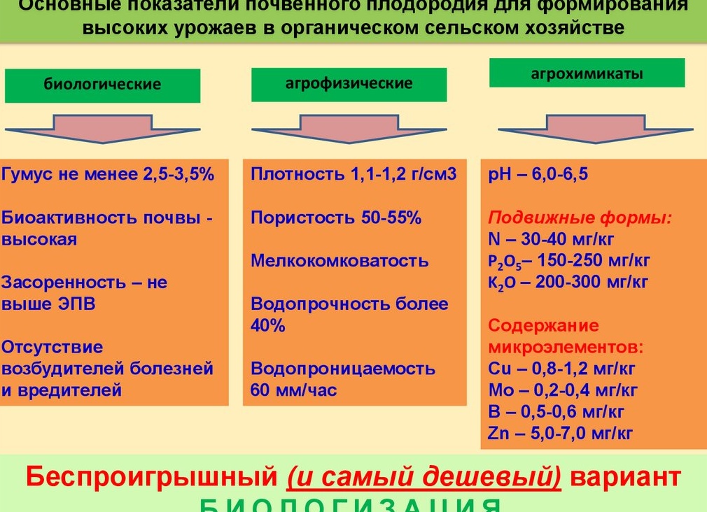 Сидерация как экологически безопасный способ повышения плодородия почв