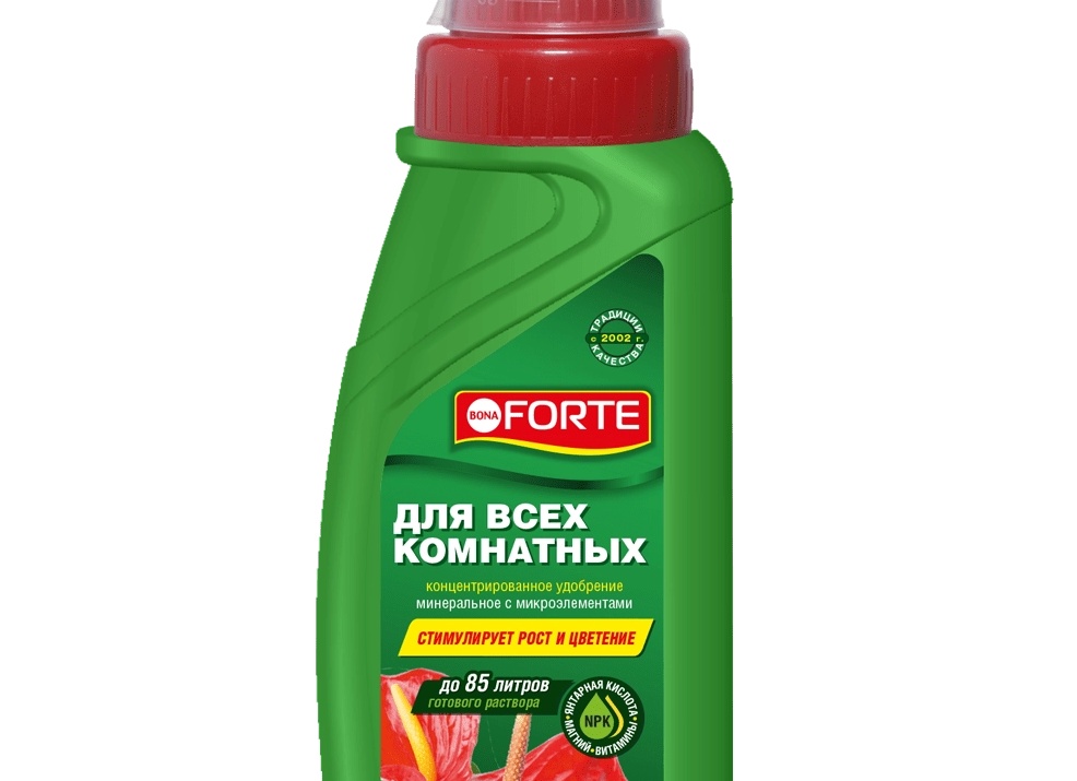 Удобрения для комнатных растений