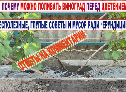 💯Новая рубрика «Полезное для растений
