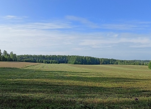 В Волгоградской области начались весенние полевые работы