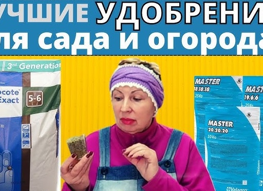 Лучшие удобрения для сада и огорода