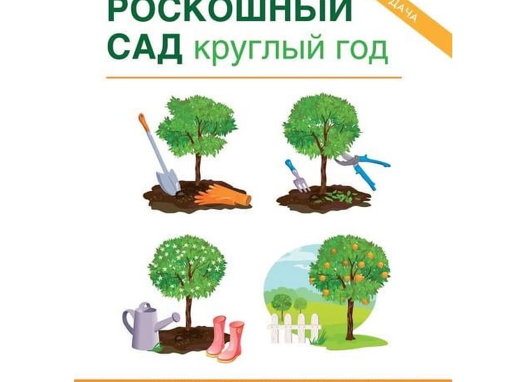 Удобрения для сада: как правильно выбрать и использовать подкормку