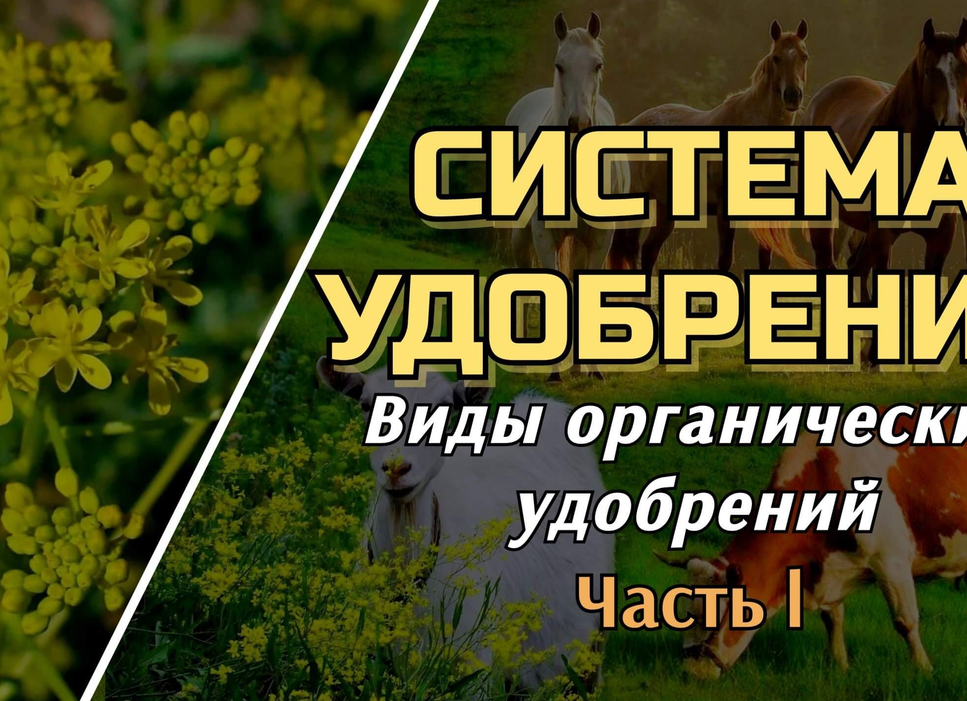 Органические удобрения. Обзор 2