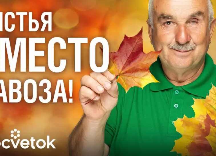 З рецепта бесплатного удобрения для хорошего урожая.