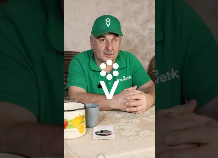 Томат Айдар: ранний урожай и устойчивость к непогоде