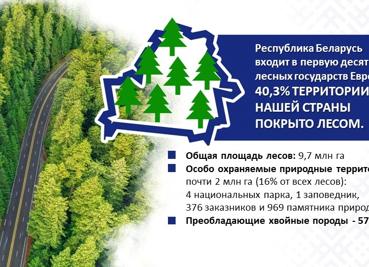 На 16% больше яровых высадят в Карелии в этом году